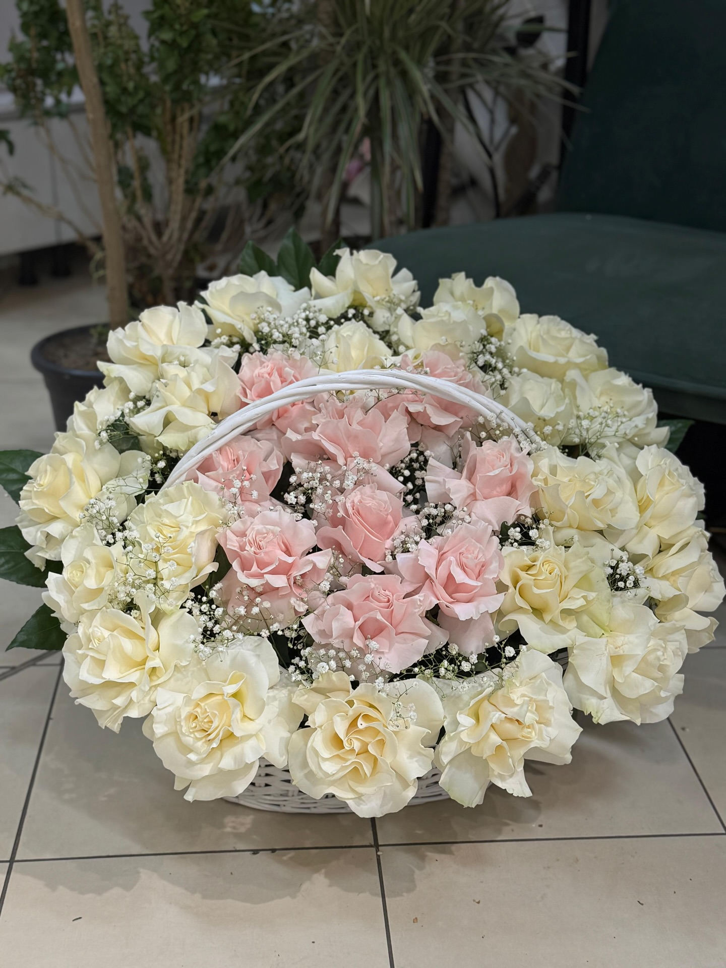Iuga’s flowers - Roz pal care se îmbrățișează cu alb —... | Facebook