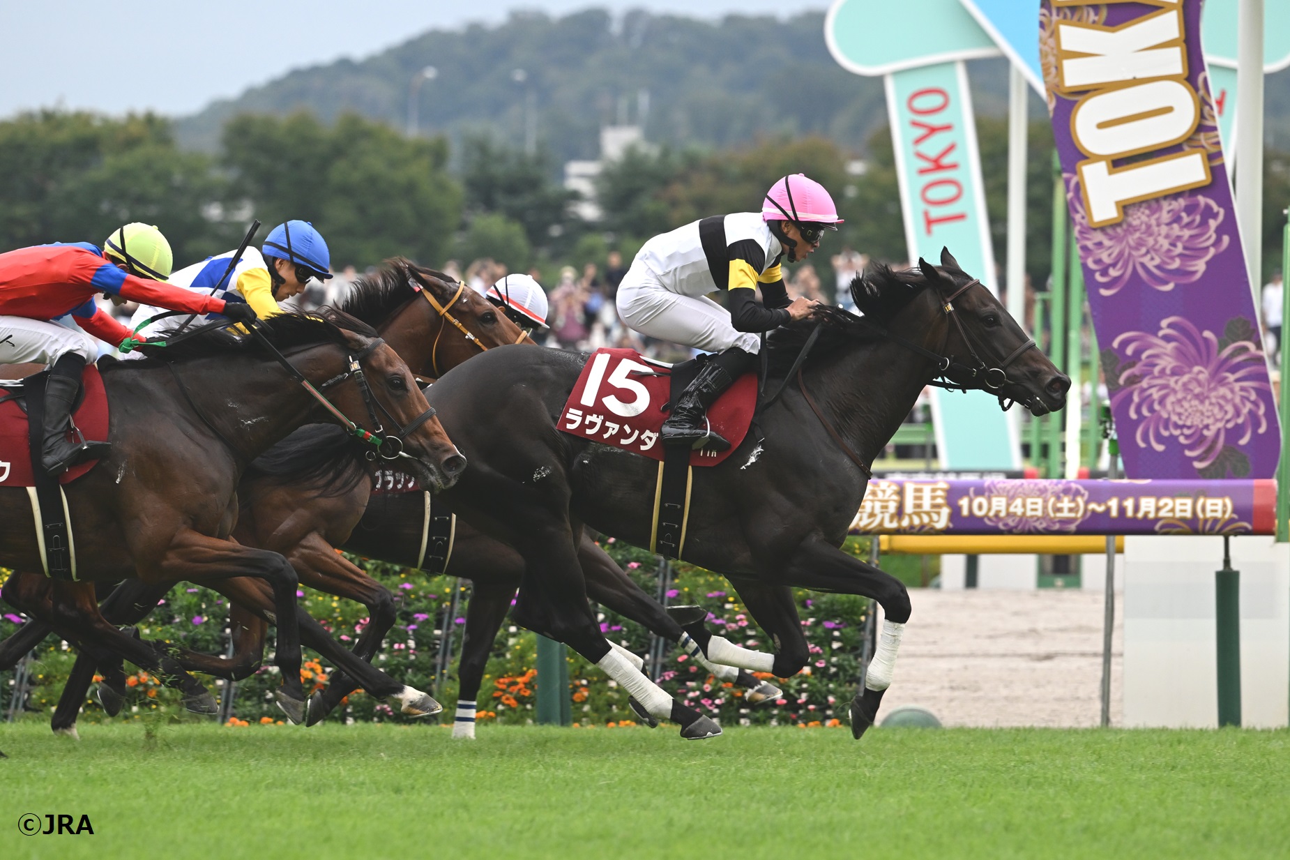 JRA（日本中央競馬会） - 1994年の朝日杯3歳ステークス（現：朝日杯