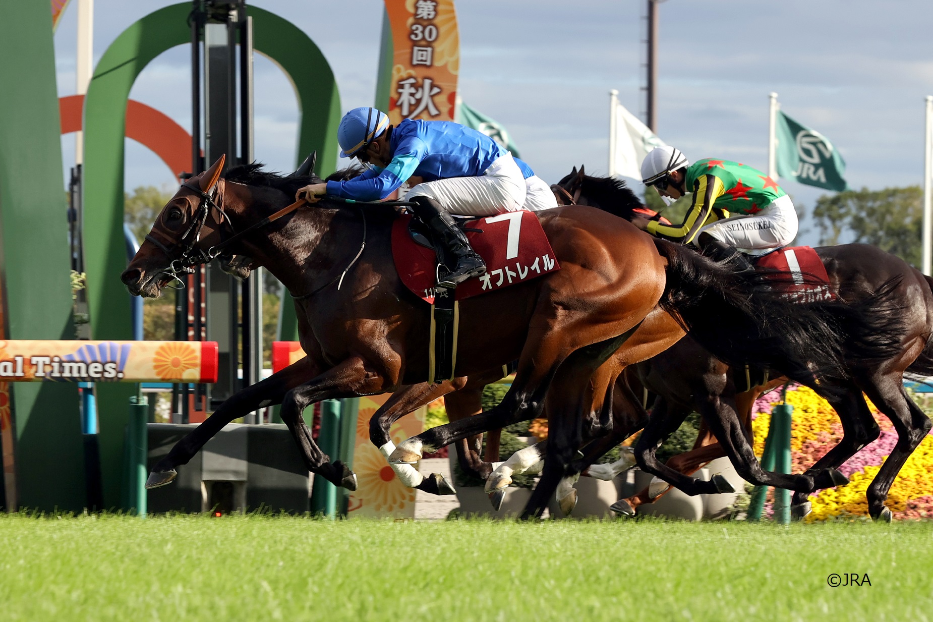 ミホノブルボン 京都新聞杯 現地購入的中単勝馬券 JRA（日本中央競馬会） - シリーズ「心に残る美しいサラブレッド