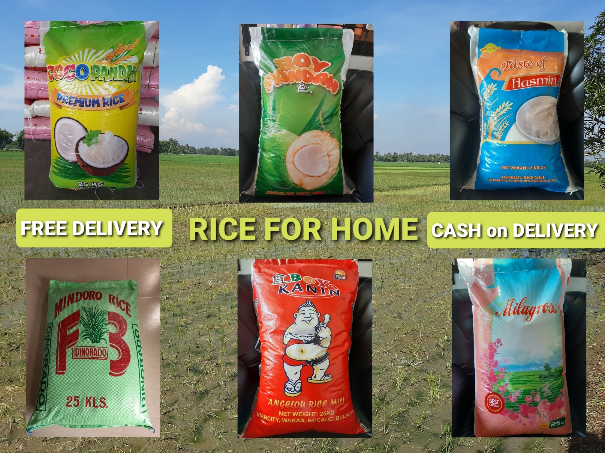 ISKO Rice Trading - 💯 We provide a High Quality of 🌾RICE🌾 Direct ...