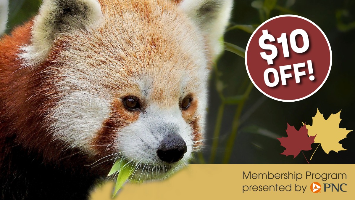 Cleveland Zoo membership $10 off fall 2026