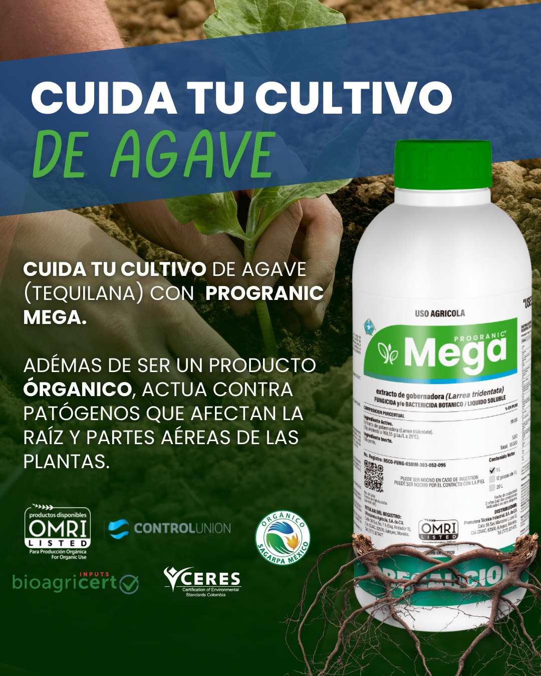AgriSol | Zamora