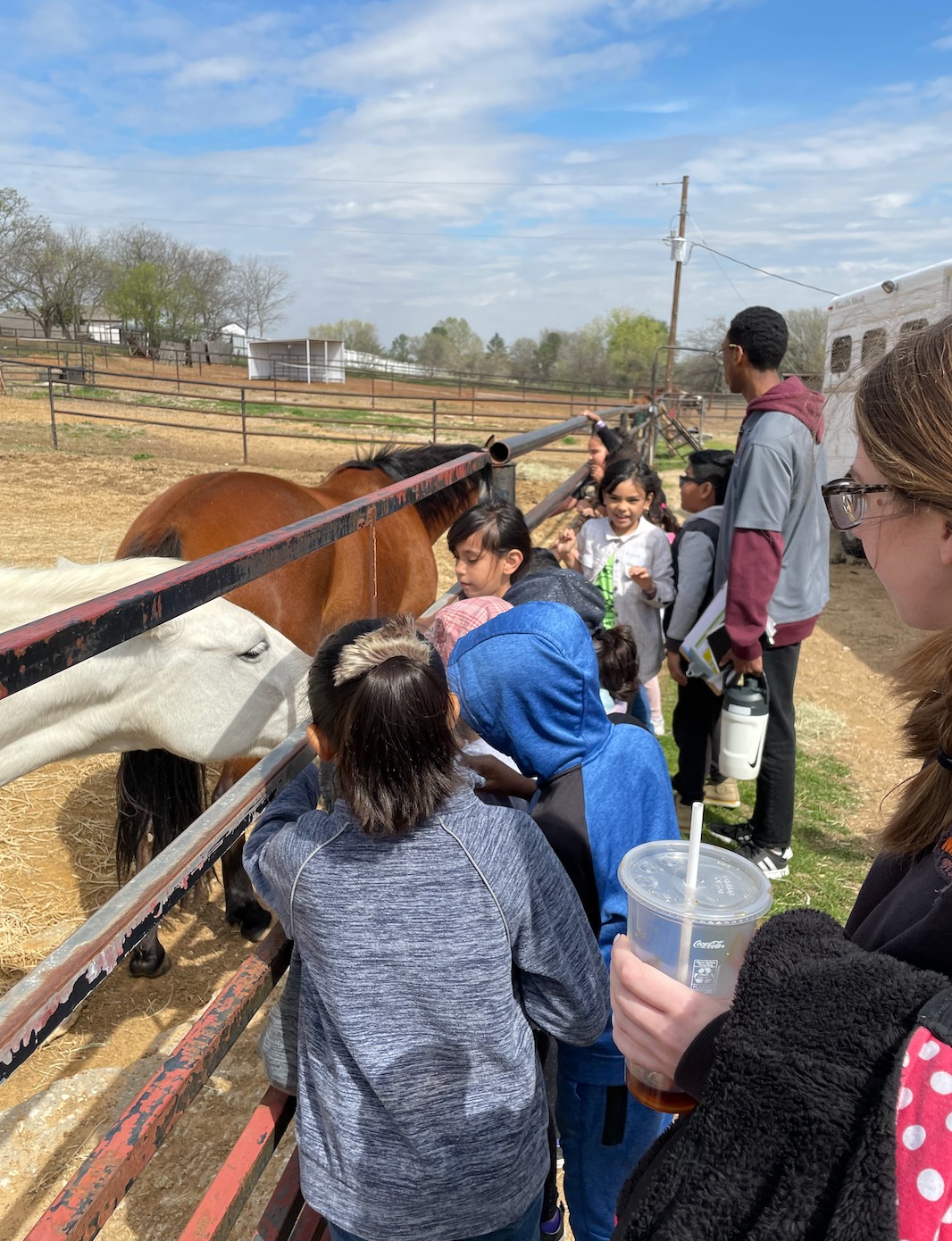 Lobos Horse Ranch & Stables | Mansfield TX
