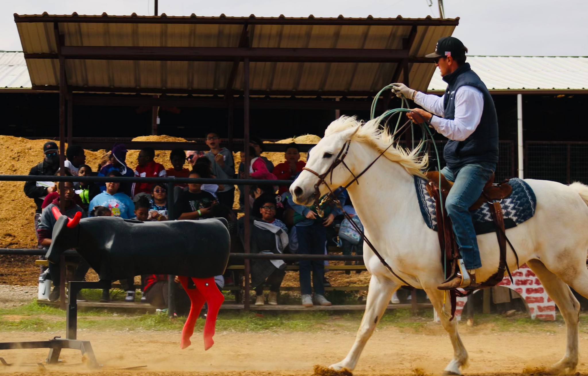 Lobos Horse Ranch & Stables | Mansfield TX
