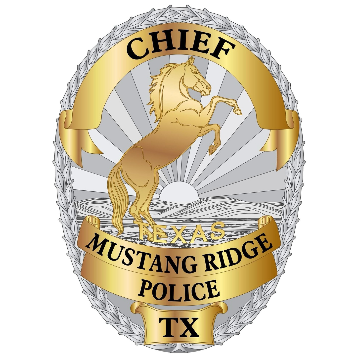 The Hawk’s - 🚨 Mustang Ridge Police Chief Rolando Belmares Removed ...
