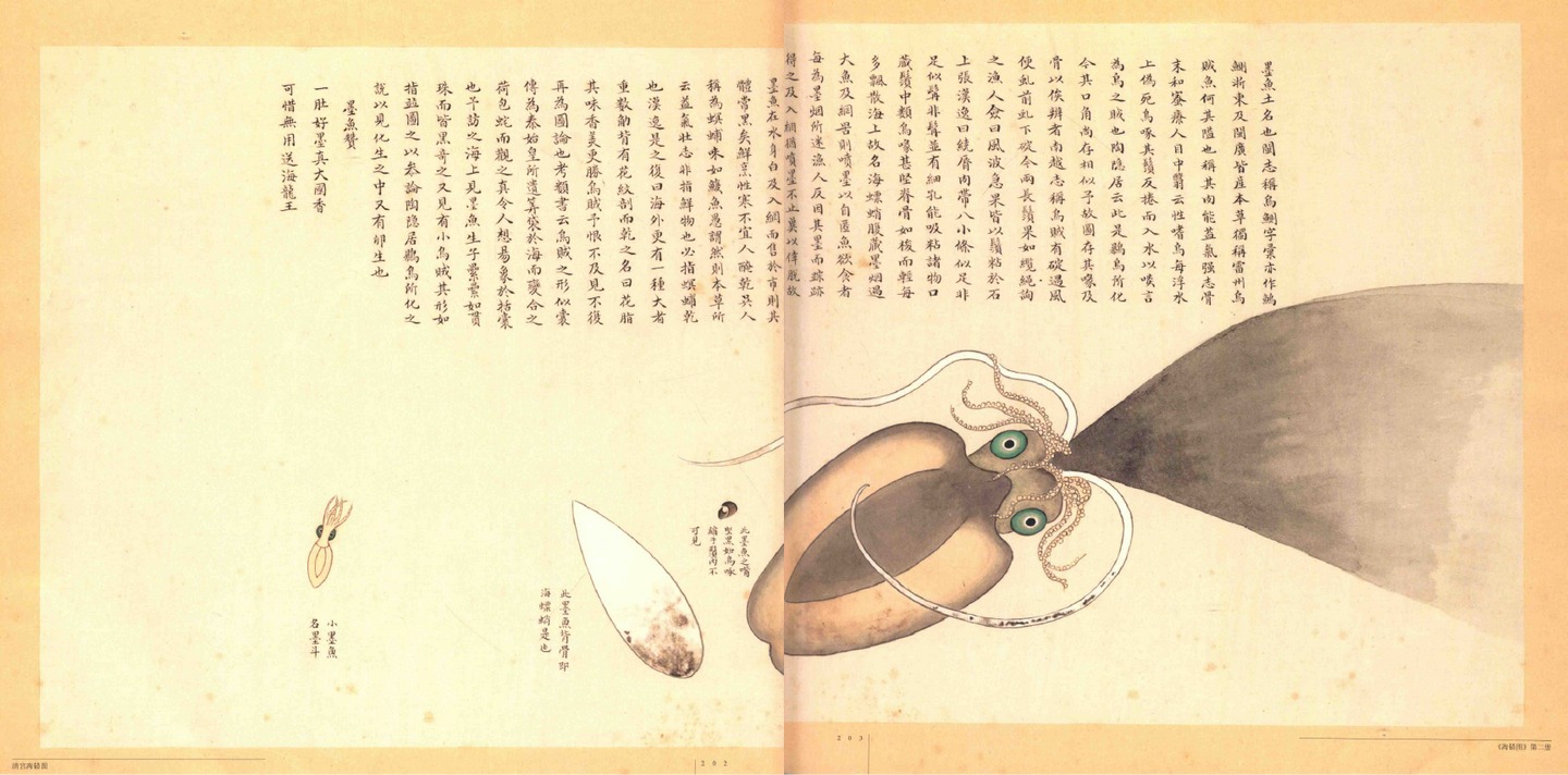 ◇ ◇ 山海民俗通◇ ◇ . 『 制吒迦童子』Ceṭaka - ✍制吒迦童子，是