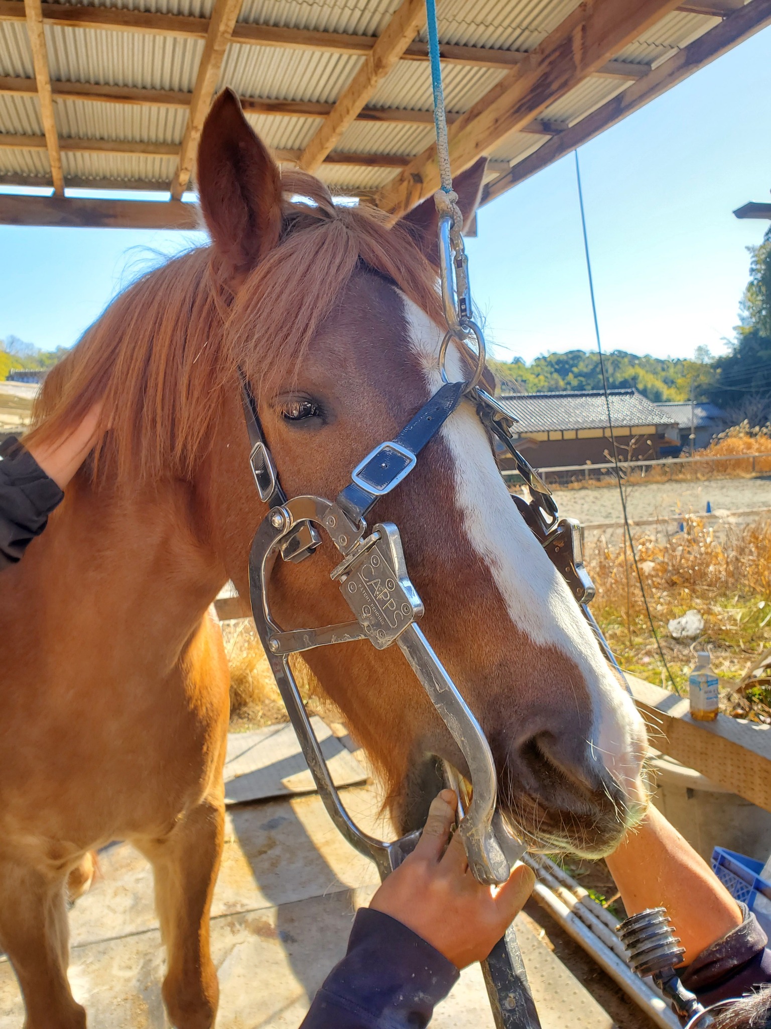 里山乗馬クラブ - 軽トラにアングルをつけて、ハローがけ！！ ハロー 