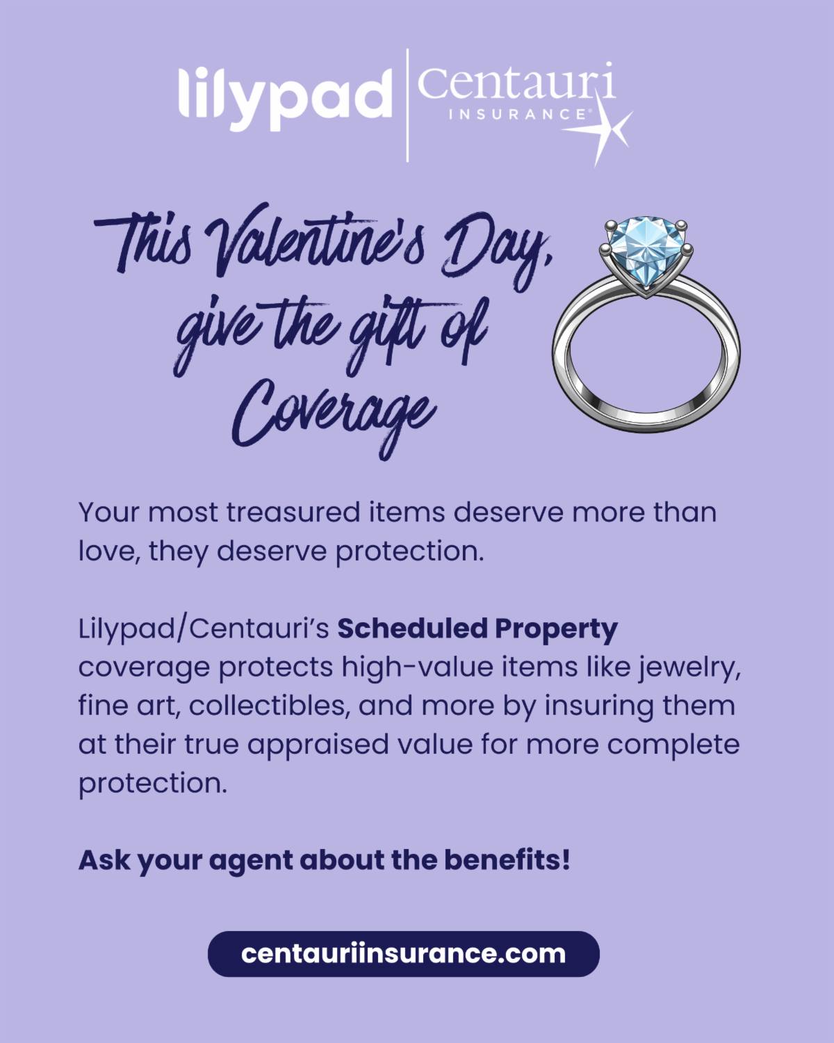 Centauri Insurance | Sarasota FL