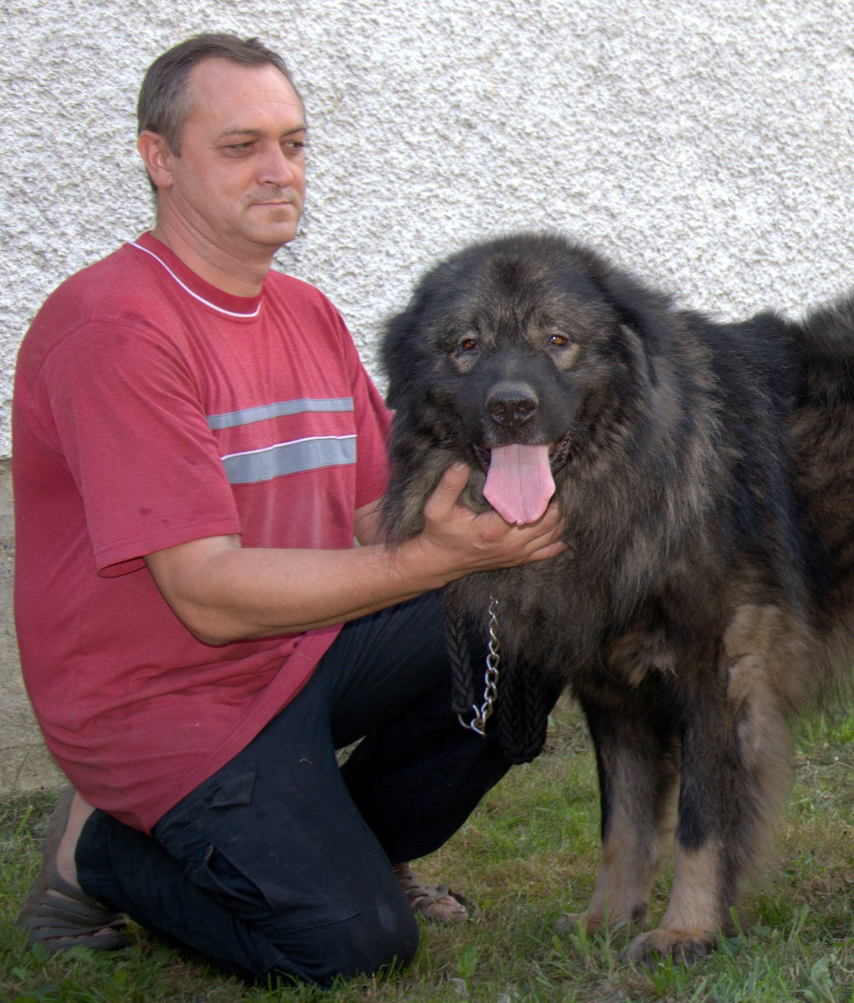 Tomislav Šimota