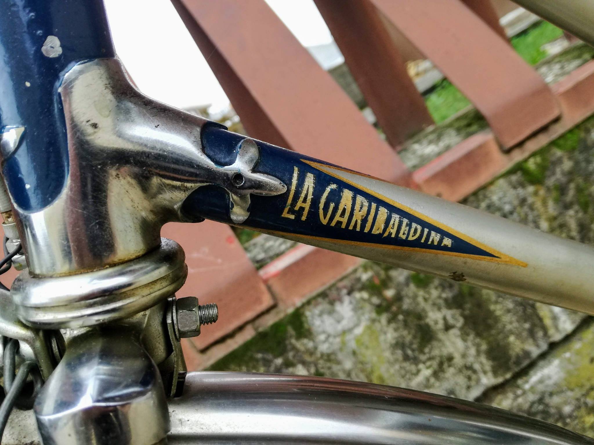Bicicletta d'epoca, bici da città, stampa fotografica su legno, pittura