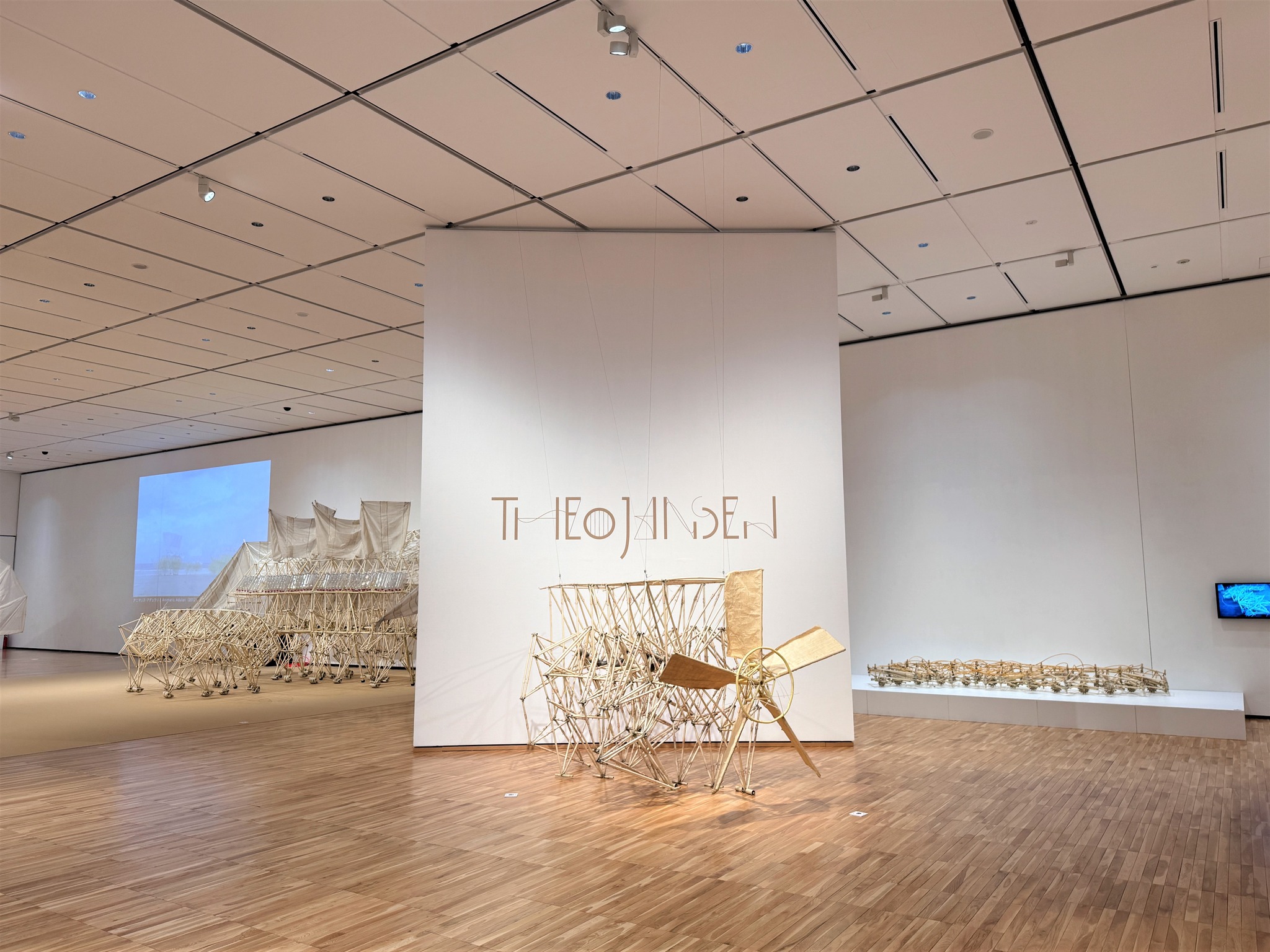 富山県美術館 - テオ・ヤンセン展 開幕しました！ 日本初上陸の