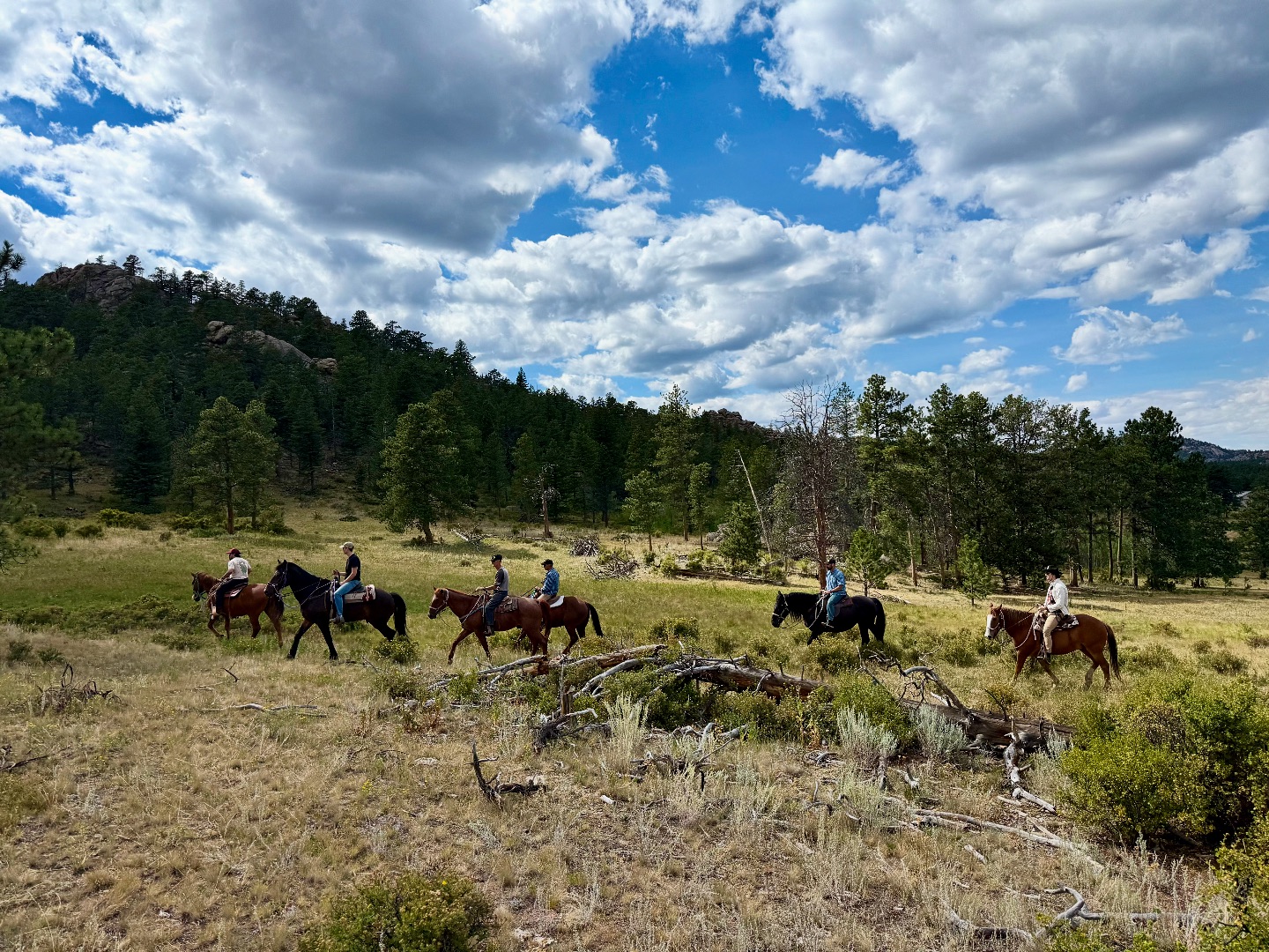 Sundanc... - Sundance Trail Guest Ranch: A Colorado Dude Ranch