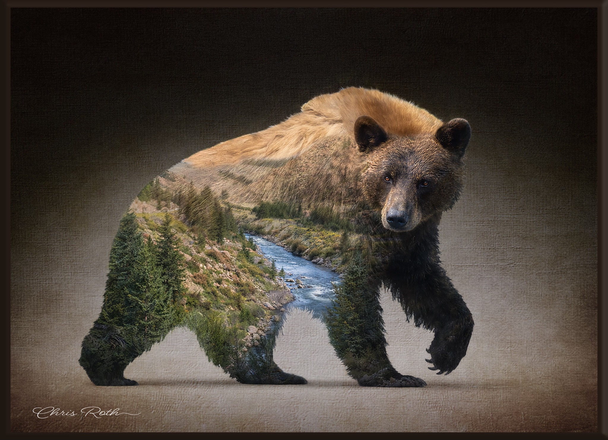 Chris Roth Photography
