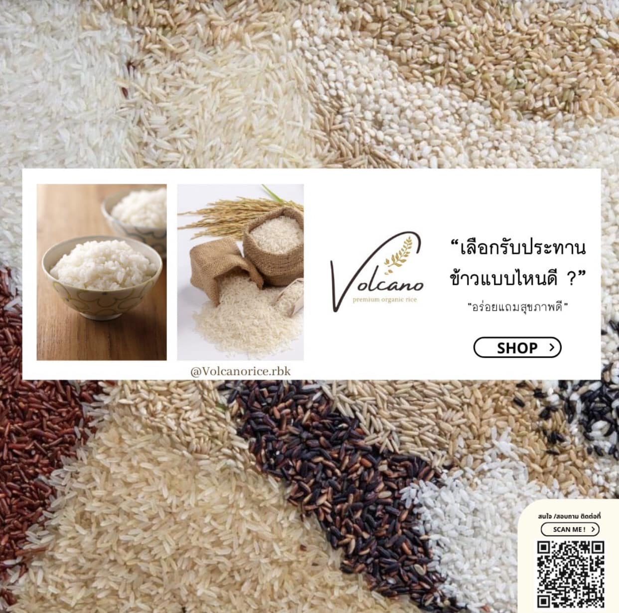 Volcano Premium Organic Rice - ข้าวอินทรีย์ปลอดสารเคมี 100%