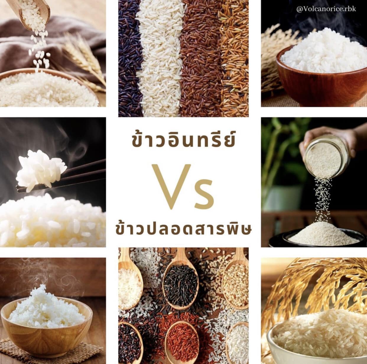 Volcano Premium Organic Rice - ข้าวอินทรีย์ปลอดสารเคมี 100%