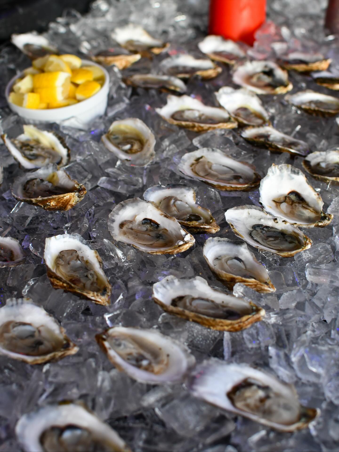 Foley Fish | New Bedford MA