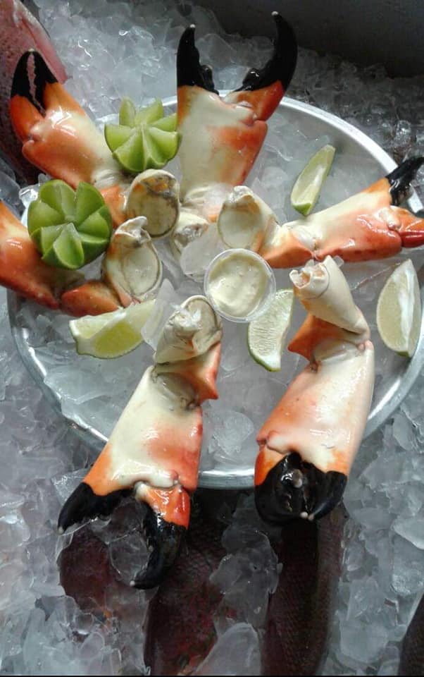DISCO FISH and GRILL | Miami FL