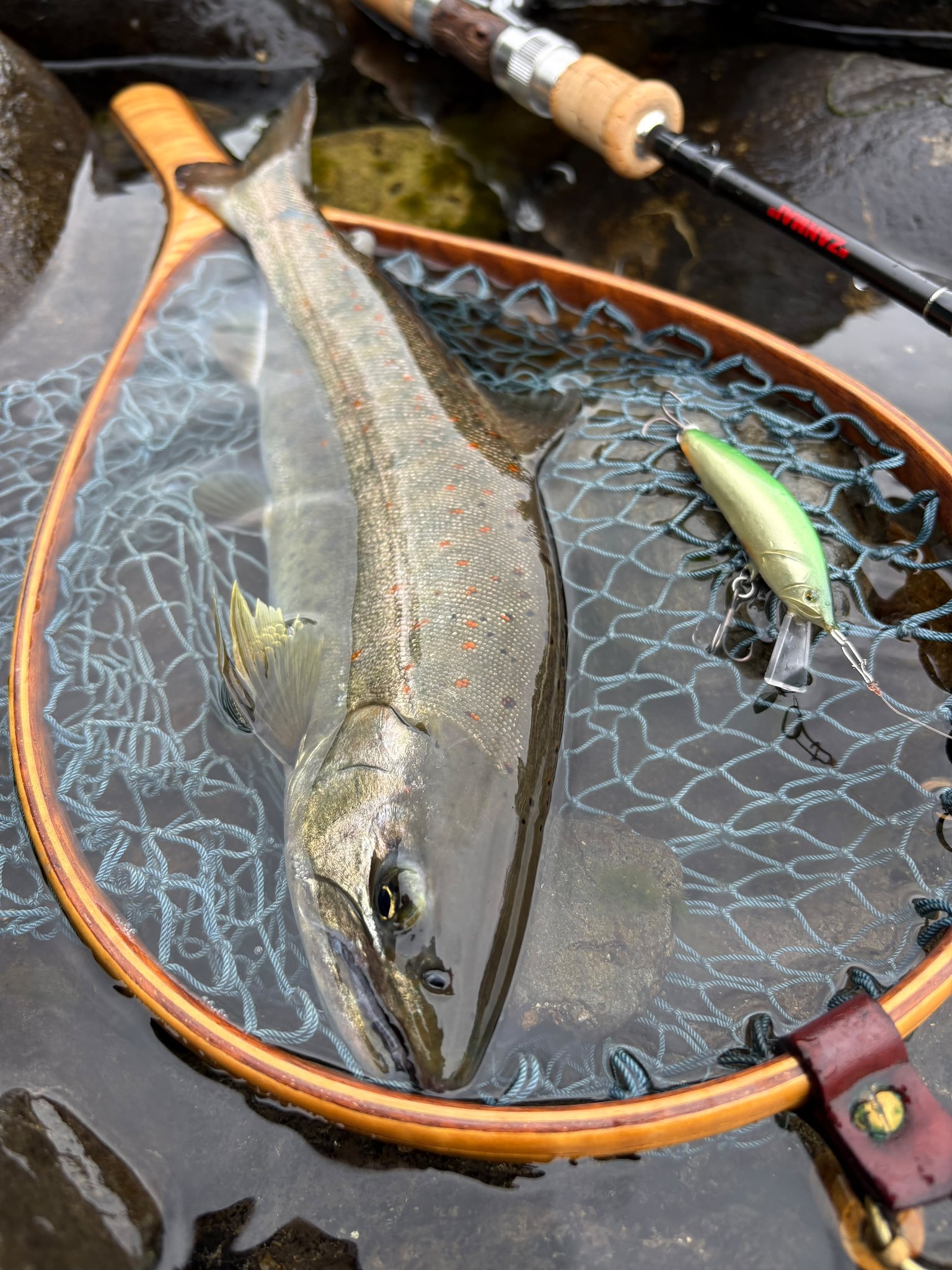 Zanmai lures - Zanmai lures added a new photo.