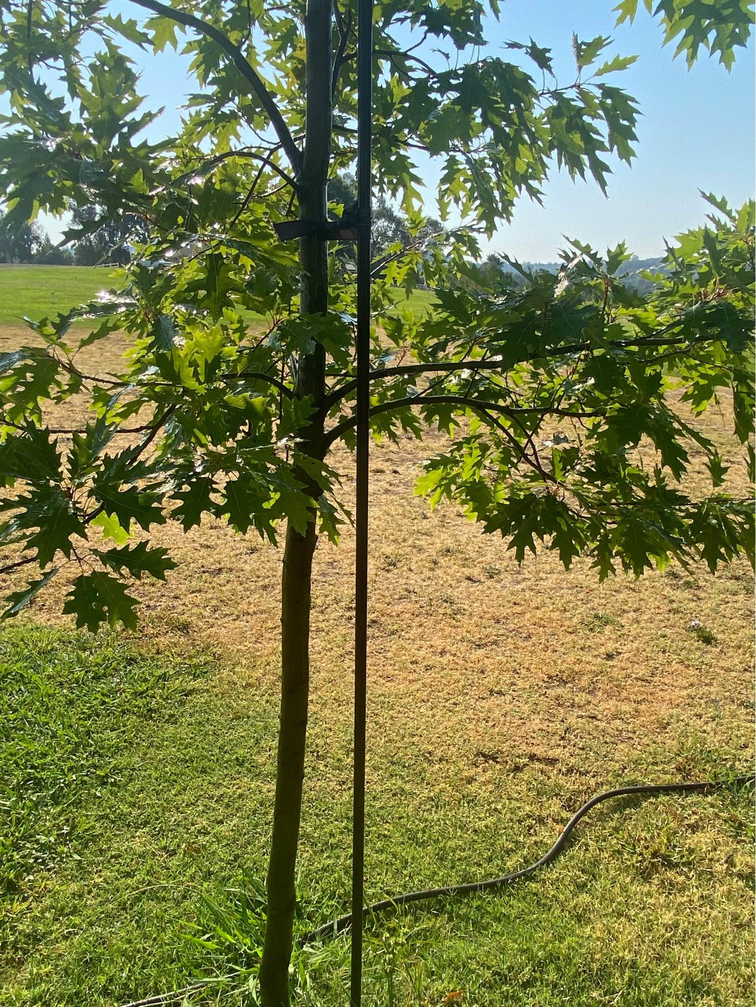3/4 Inch 10ft long Metal Tree Rods - Windmills & Spinners - Lincoln ...