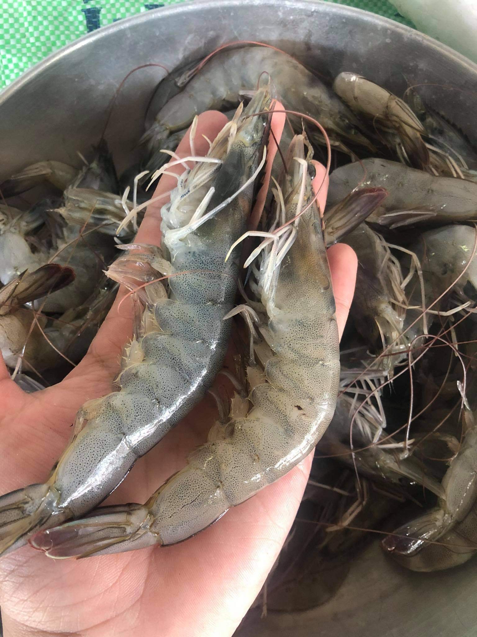 Love Us Seafood Store - Home