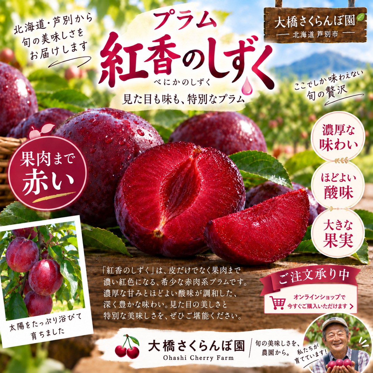 🍒開園まであと2日！🍒 こんにちは 大橋さくらんぼ園です 園内の