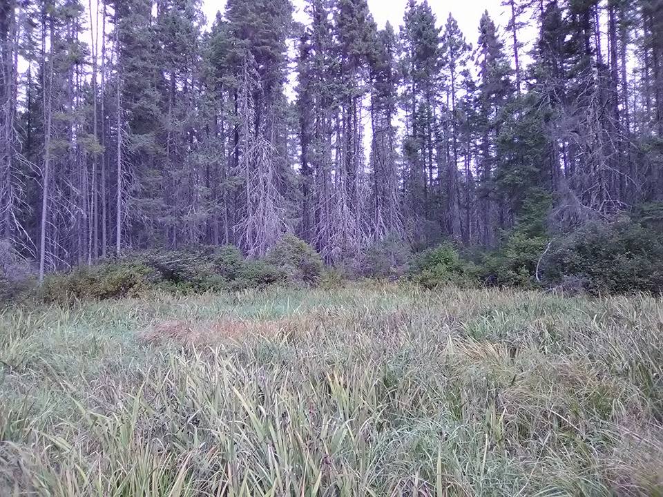 Tioweroton 