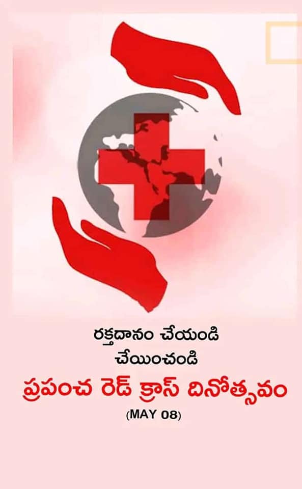  Nellore Bildidee 