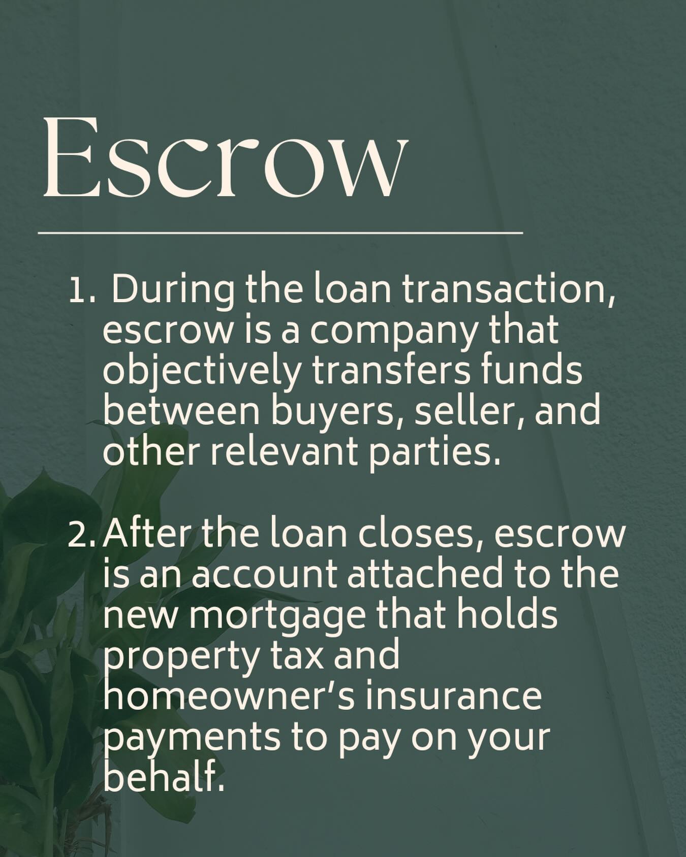 The Steinberg Roby Team at Movement Mortgage | Kirkland WA