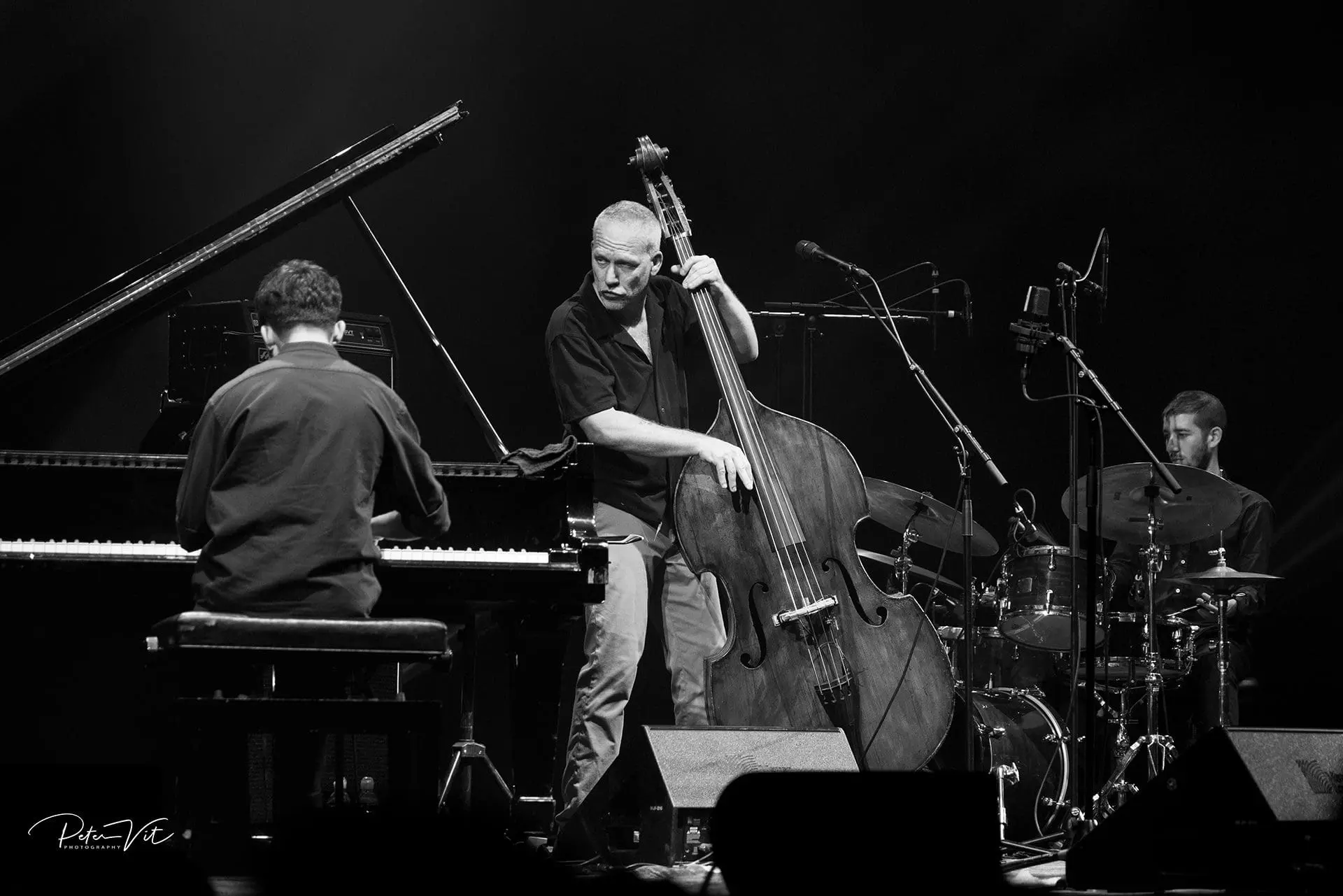 Avishai Cohen (@AvishaiCohenMusic) • Facebook