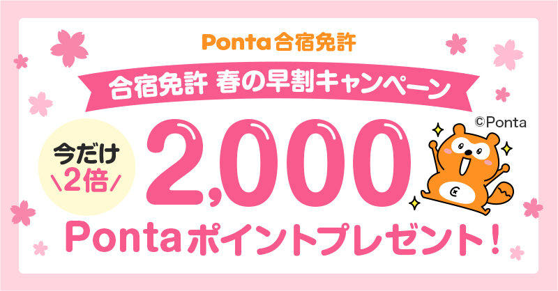 Ponta - ポンタ