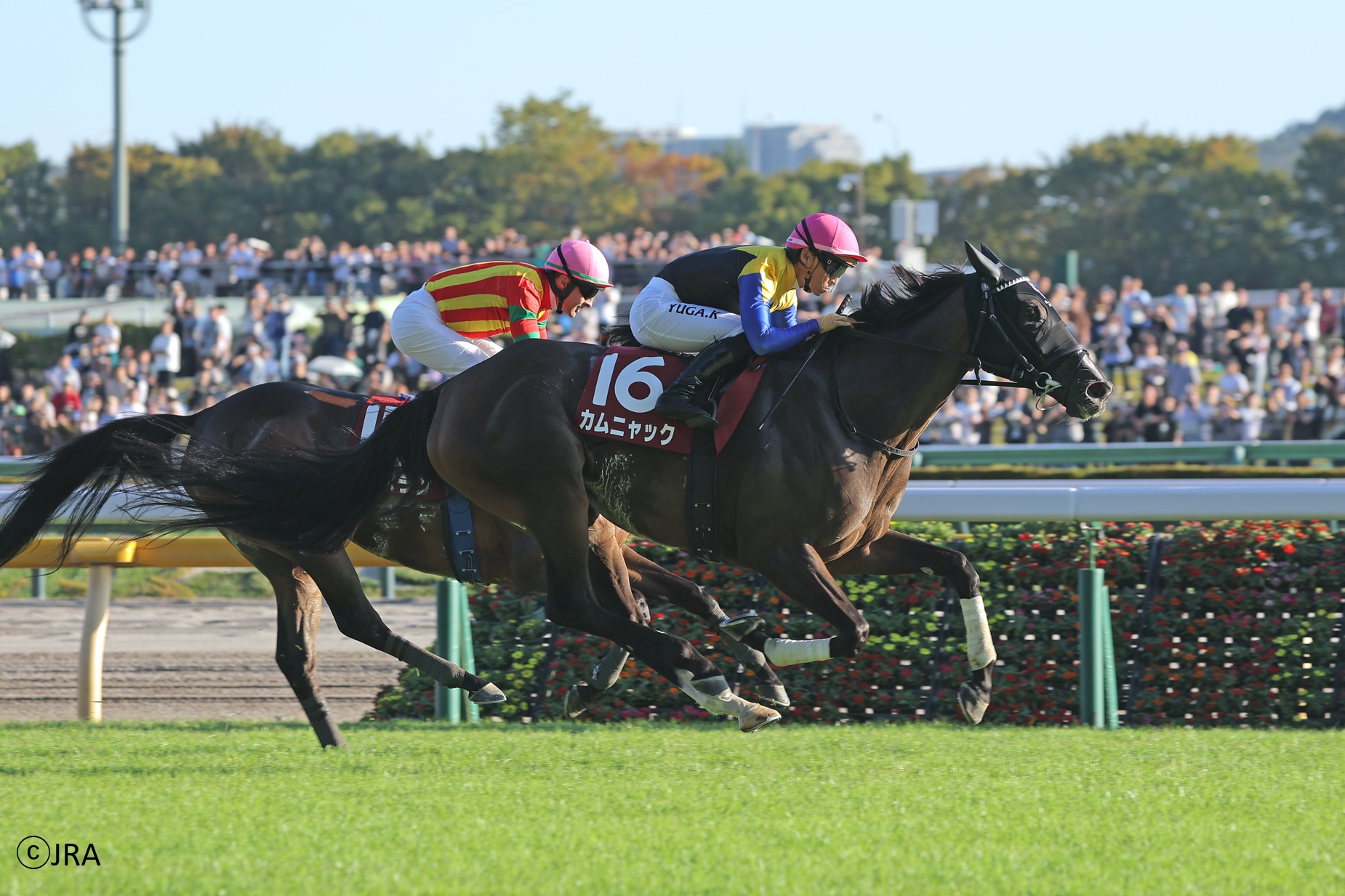 JRA（日本中央競馬会） - 1994年の朝日杯3歳ステークス（現：朝日杯