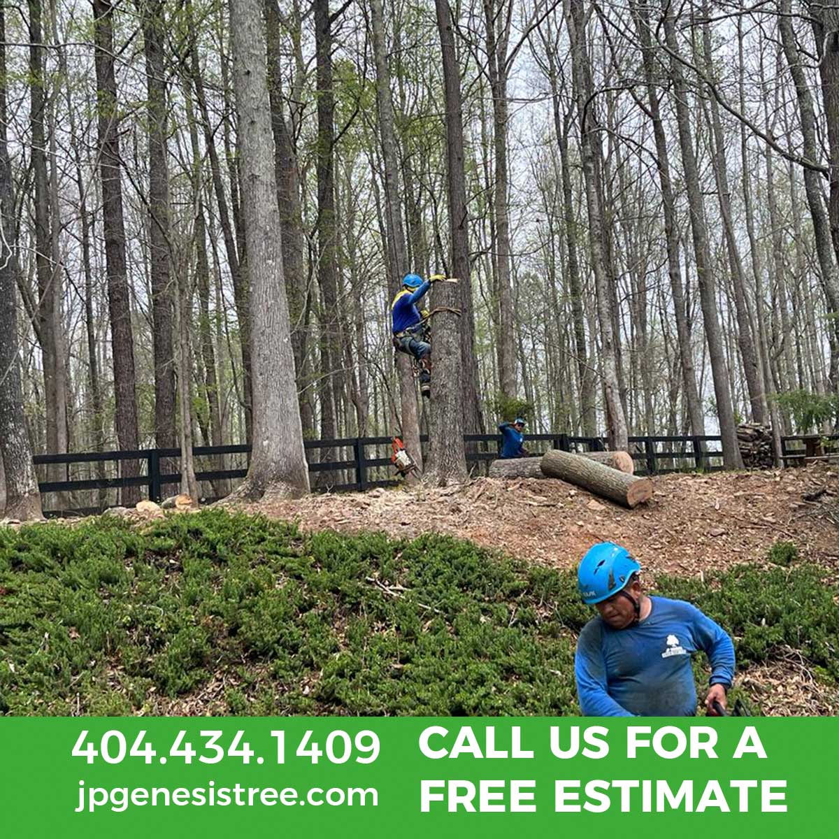 JP Genesis Tree Service