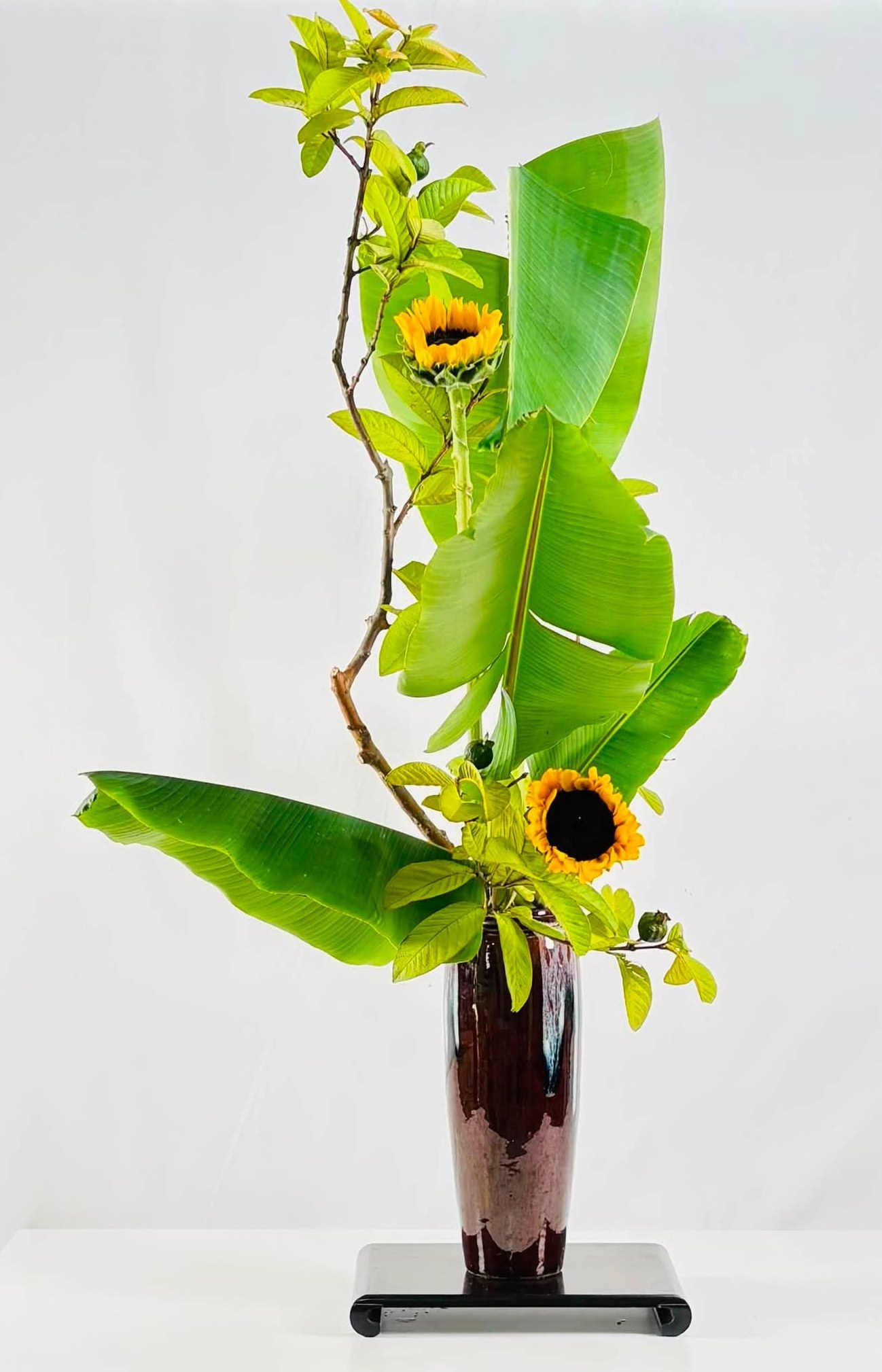 Inspired Flower Arrangements いけばな From 時代華風插花(Timeflowers)-いけばな, what one can do with a