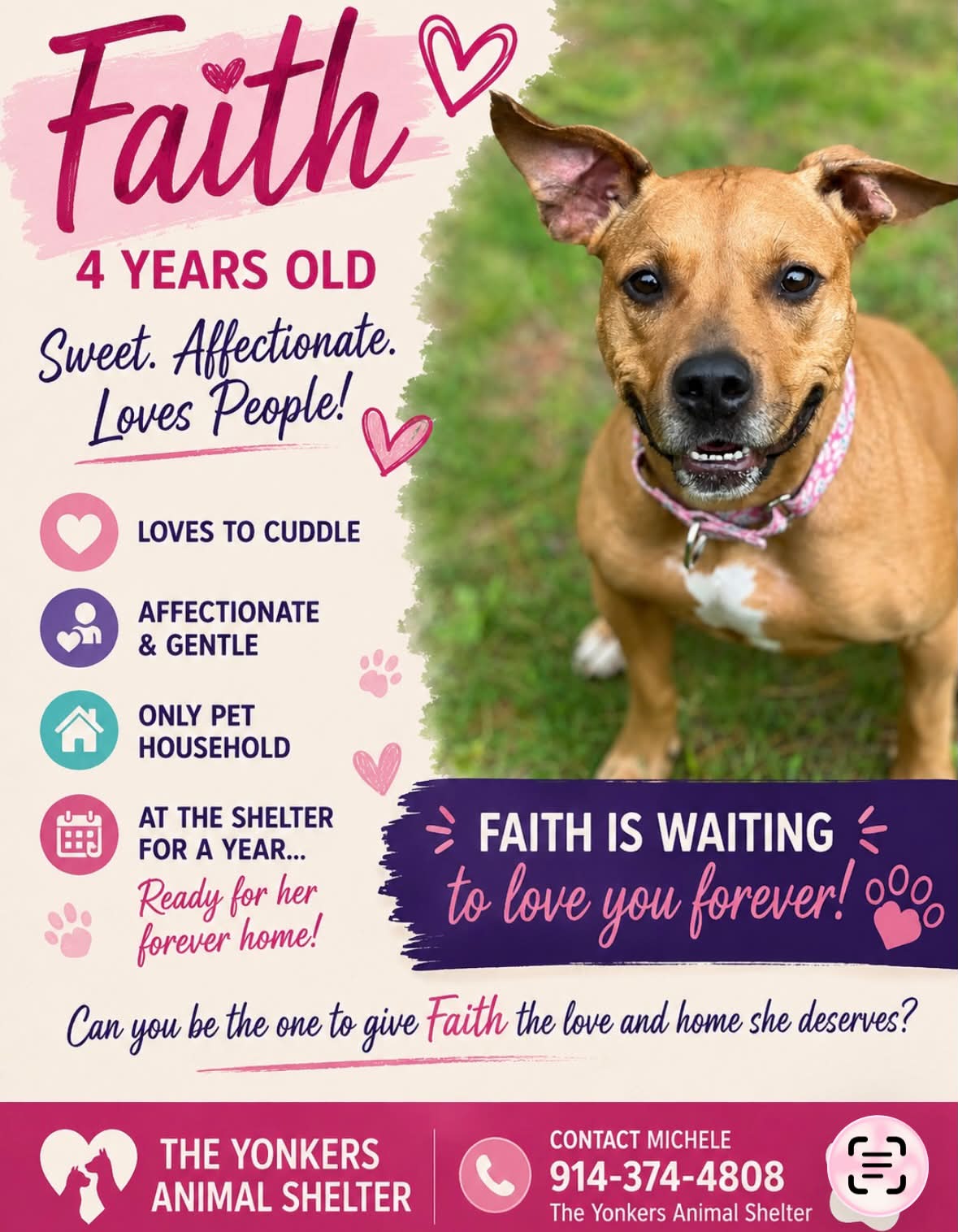 Friends of Yonkers Animal Shelter
