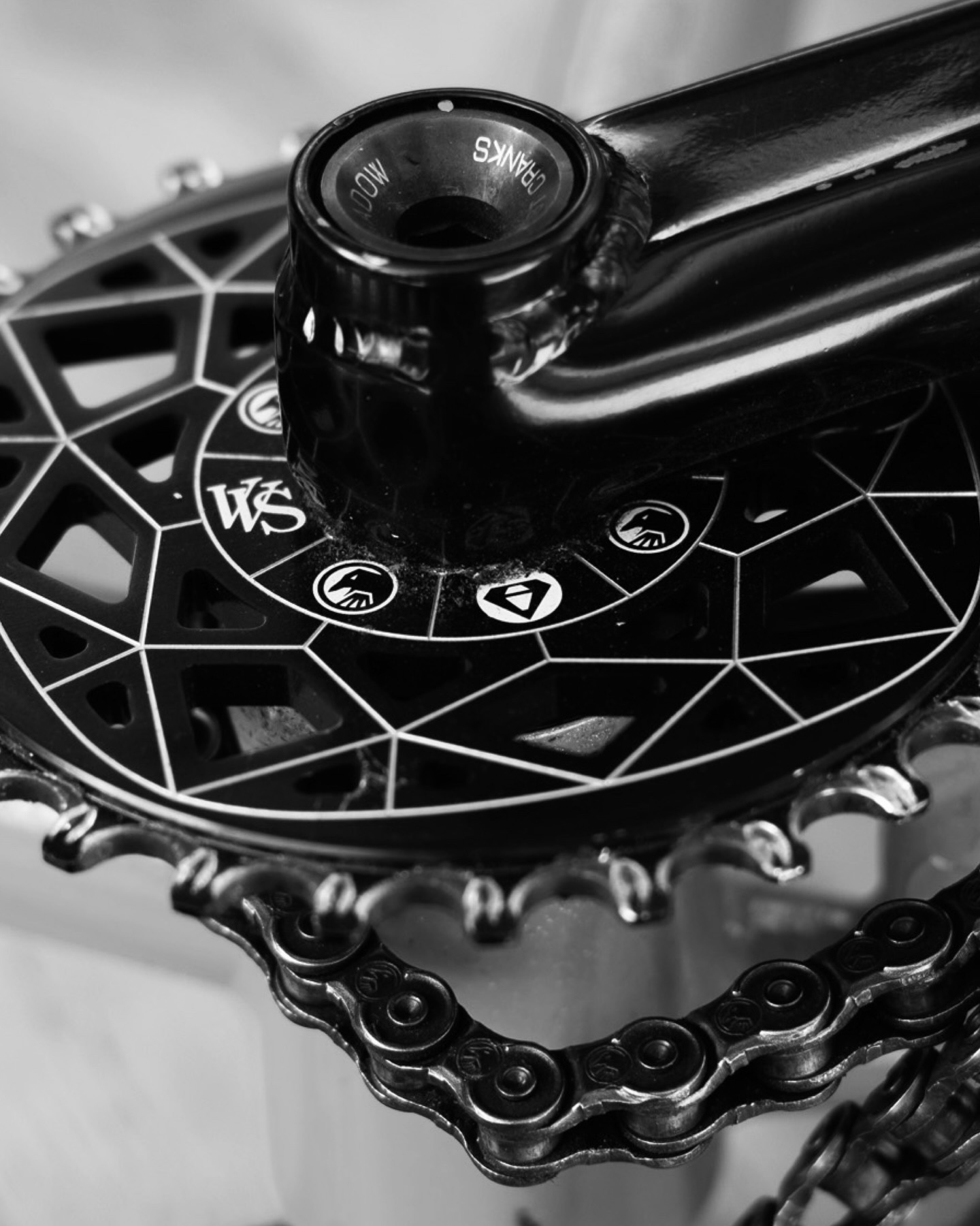 The Official - The Official Shadow Conspiracy Fan Page