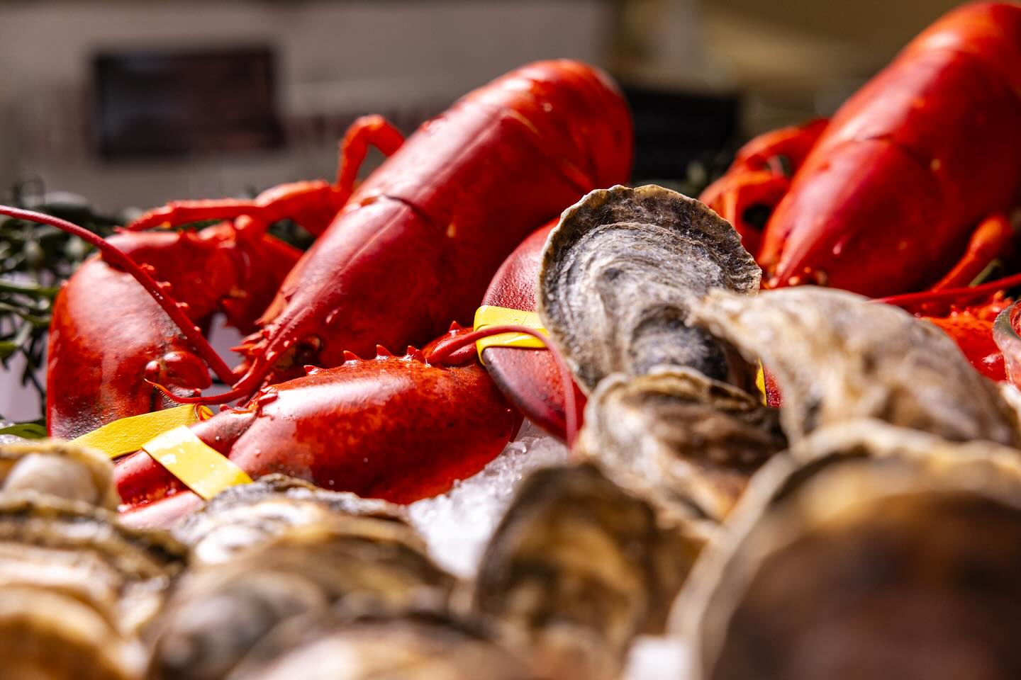 Foley Fish | New Bedford MA