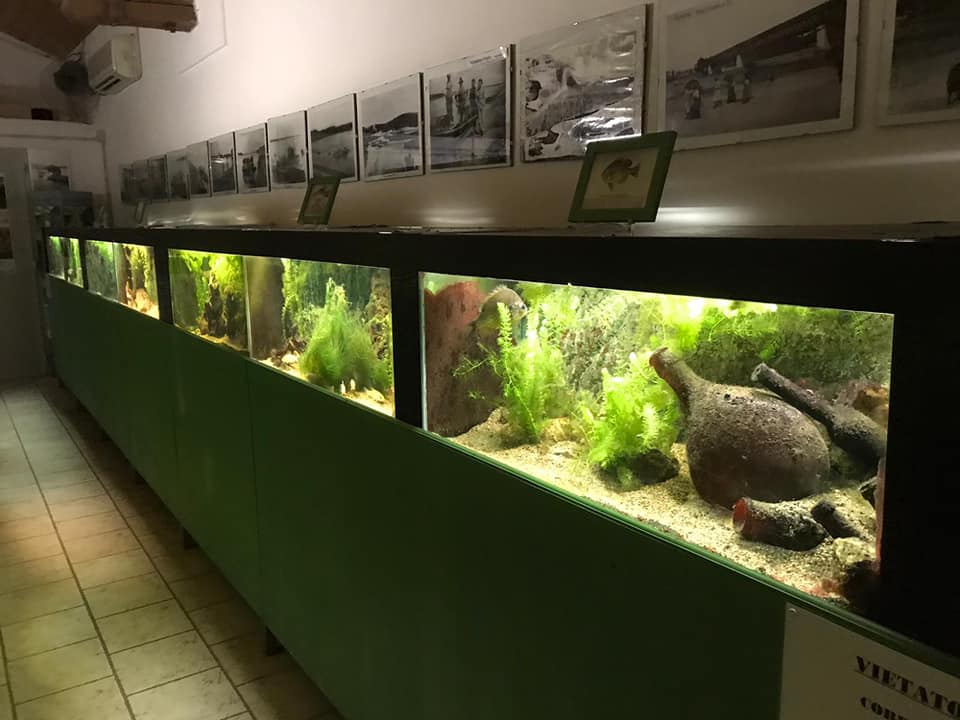 Acquario del Po