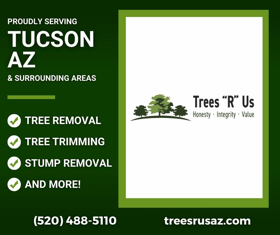 Our team of certified arborists is... - Trees 