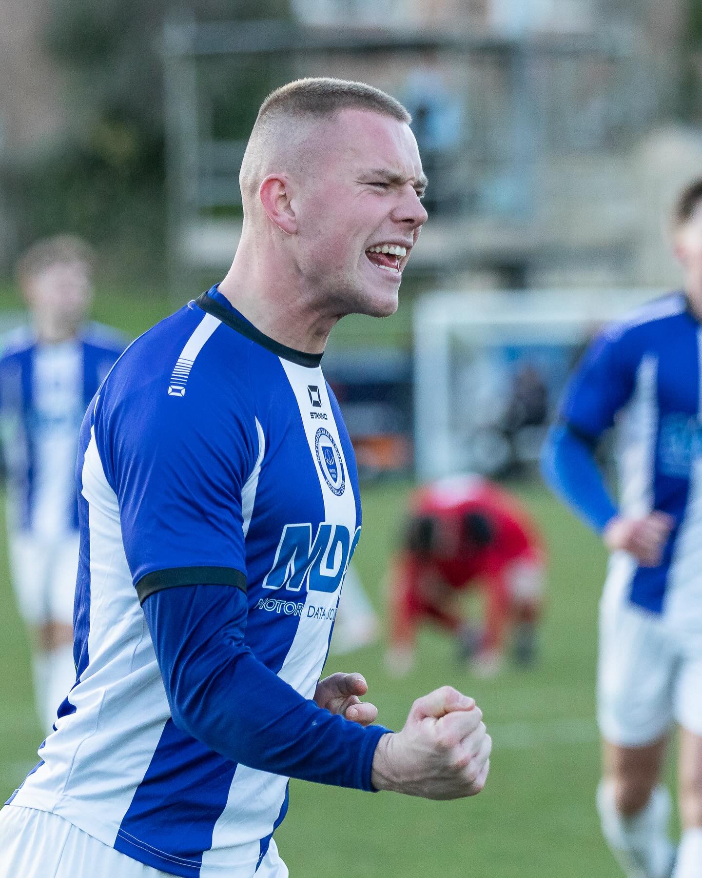 Under the light of the Wolf... - Haywards Heath Town FC | Facebook
