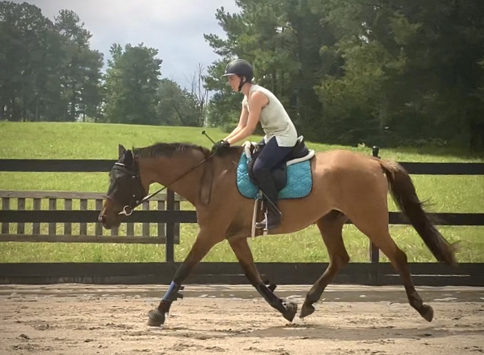 Max - Digby and I playing with lengthening when he was coming back into ...