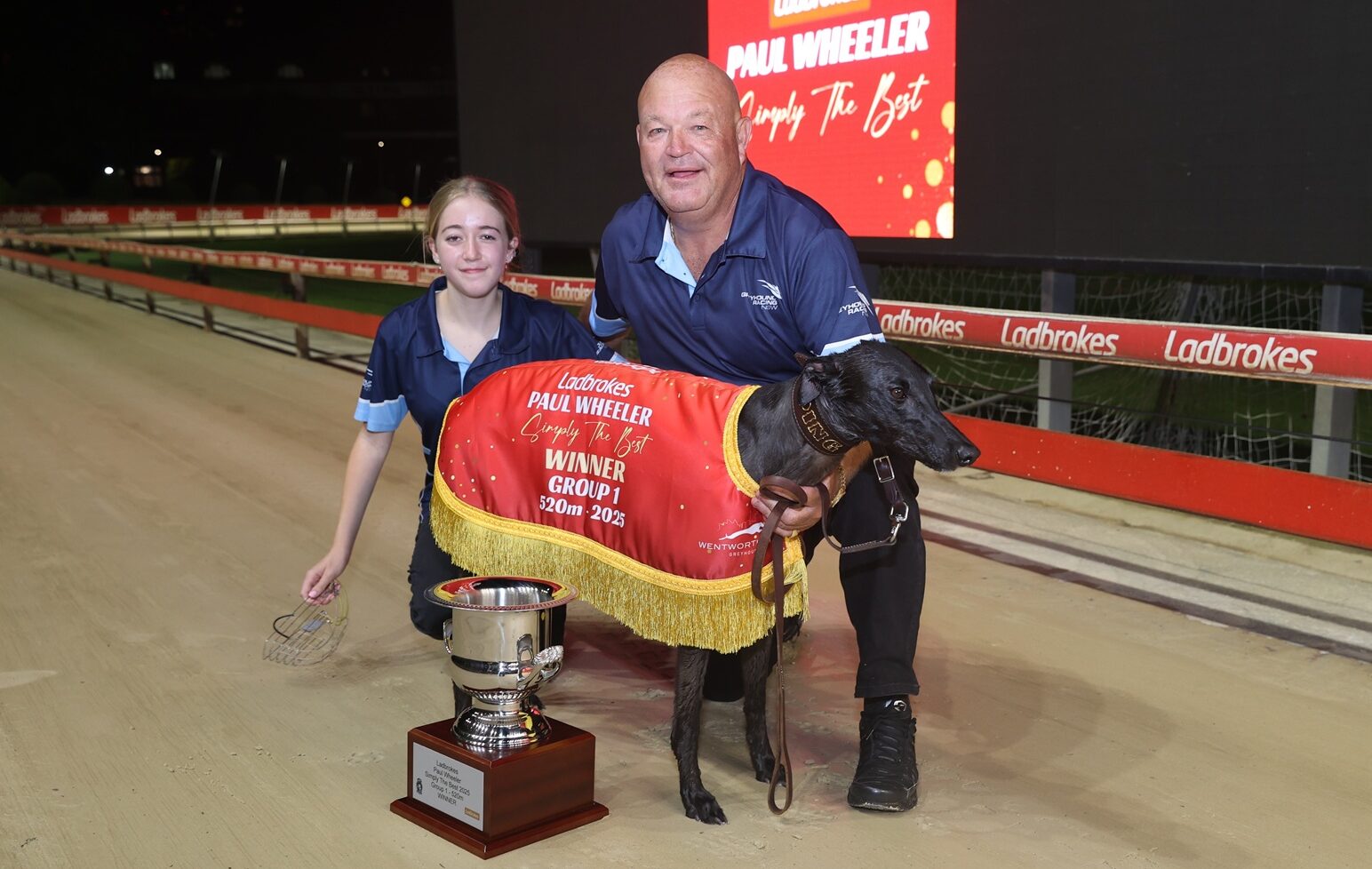 Star New South Wales sprinter... - Greyhound Clubs Australia | Facebook