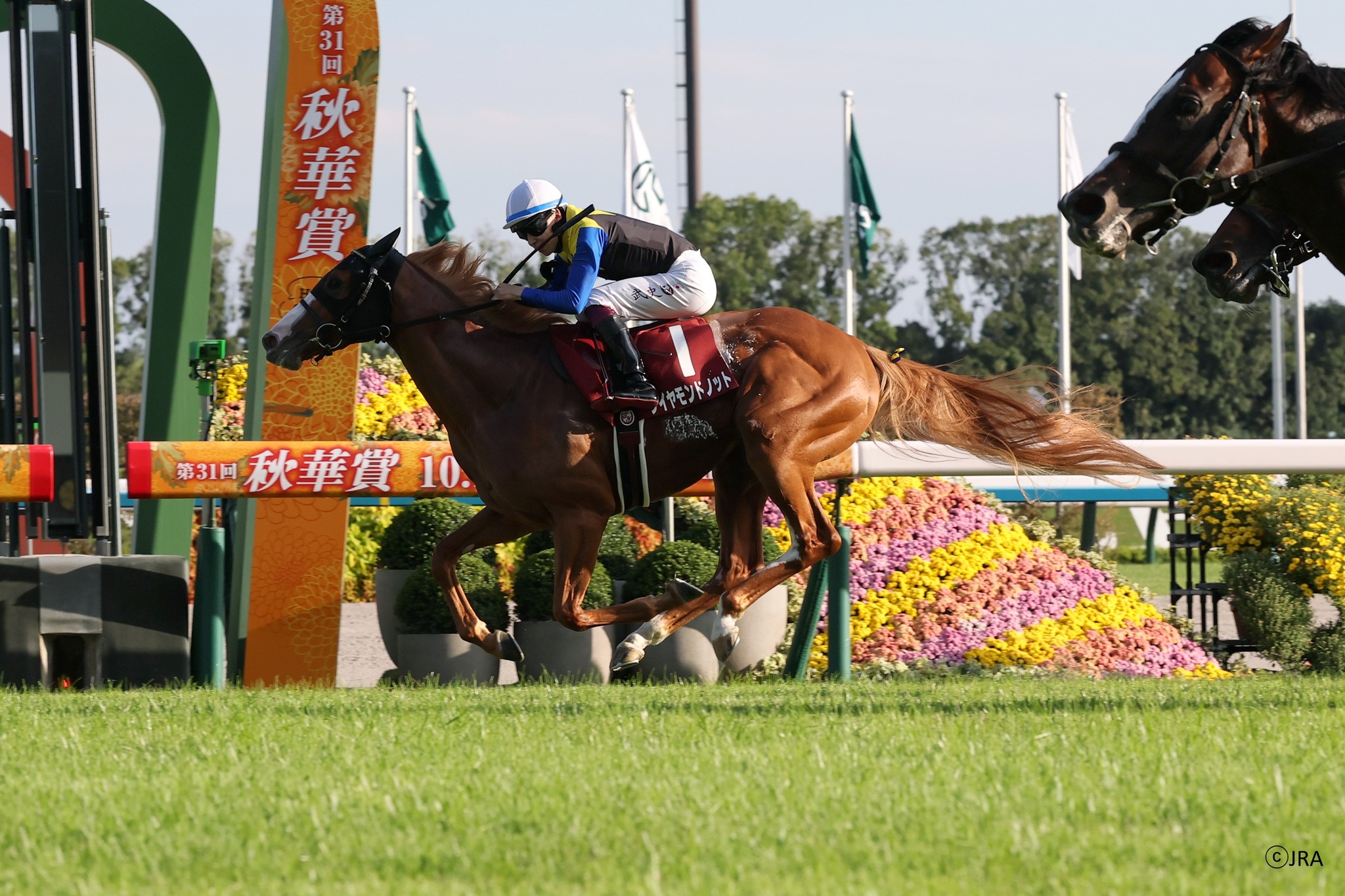 ☆*…応援馬券で“推し”に「がんばれ！」を送ろう！…*☆ 1頭の馬の「単勝