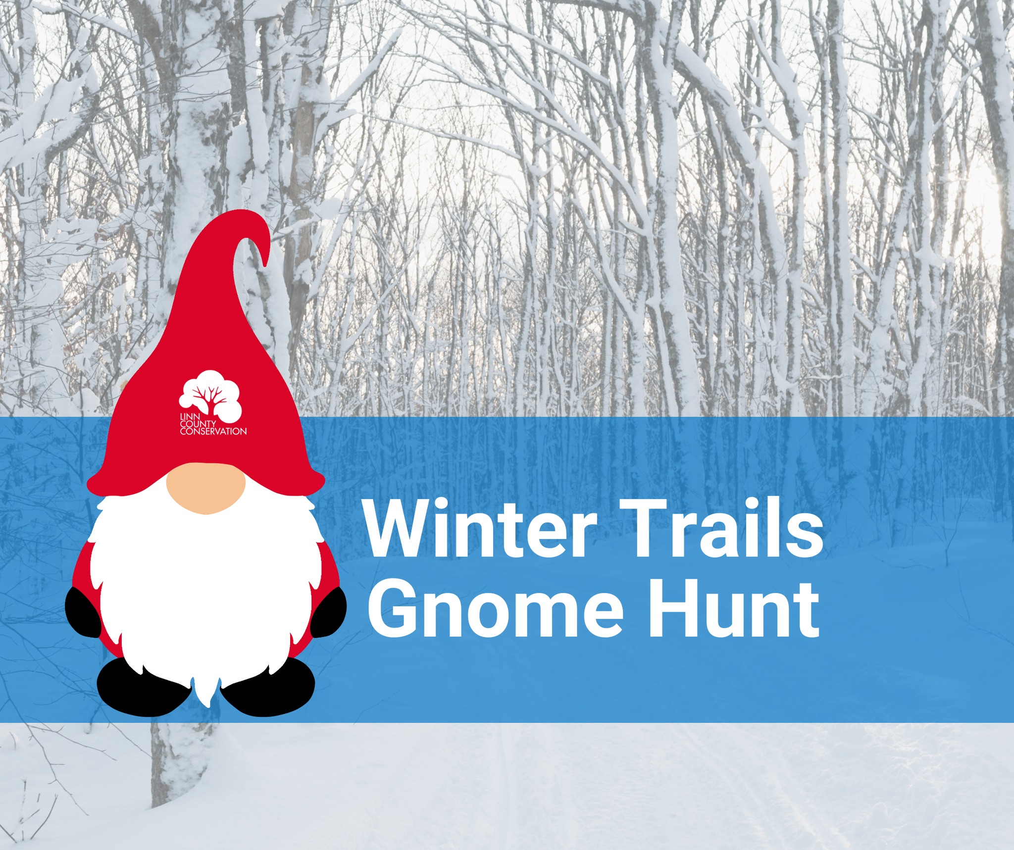 Winter Trails Gnome Hunt - Pinicon Ridge Park