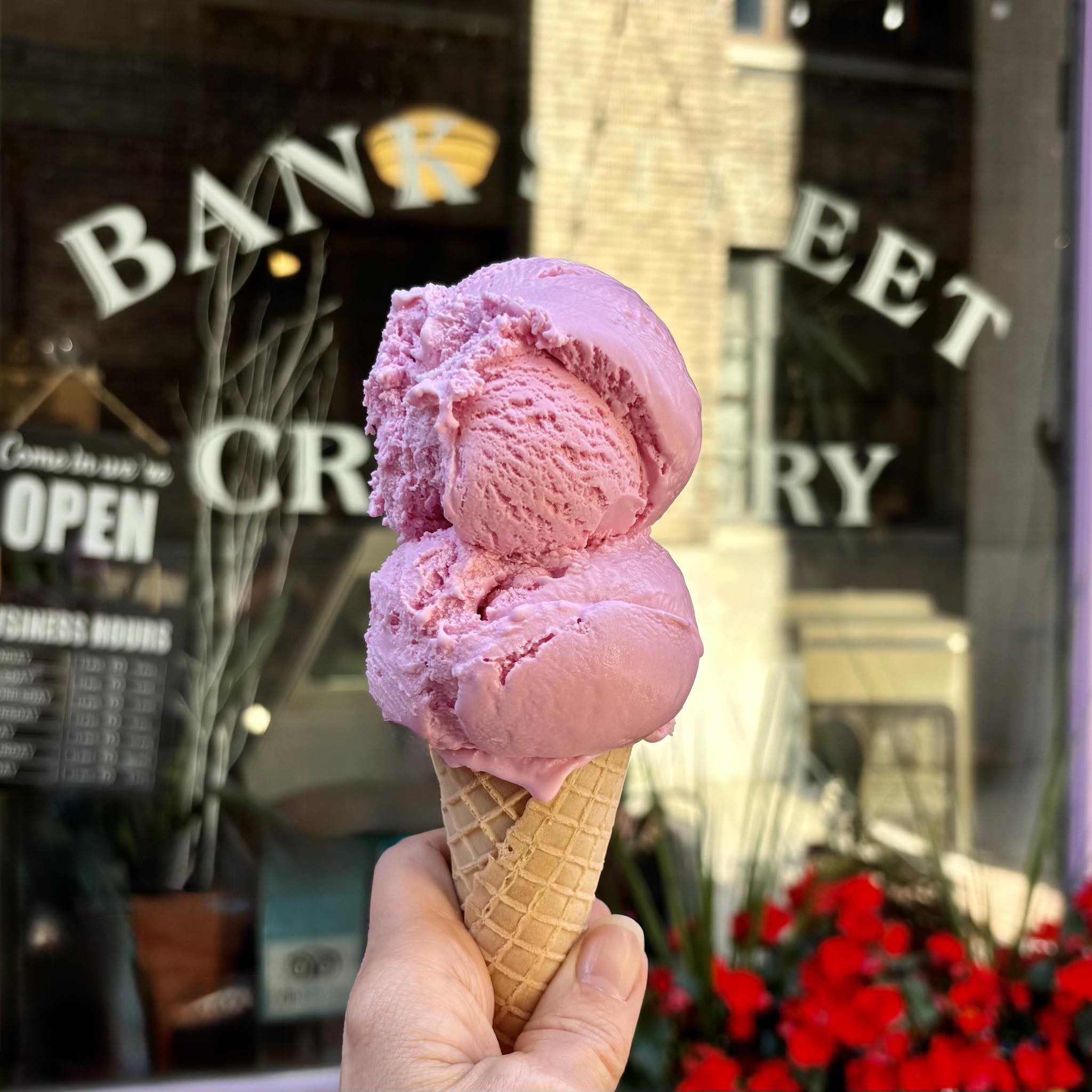 Wintergreen tea berry ice cream available in Easton, PA