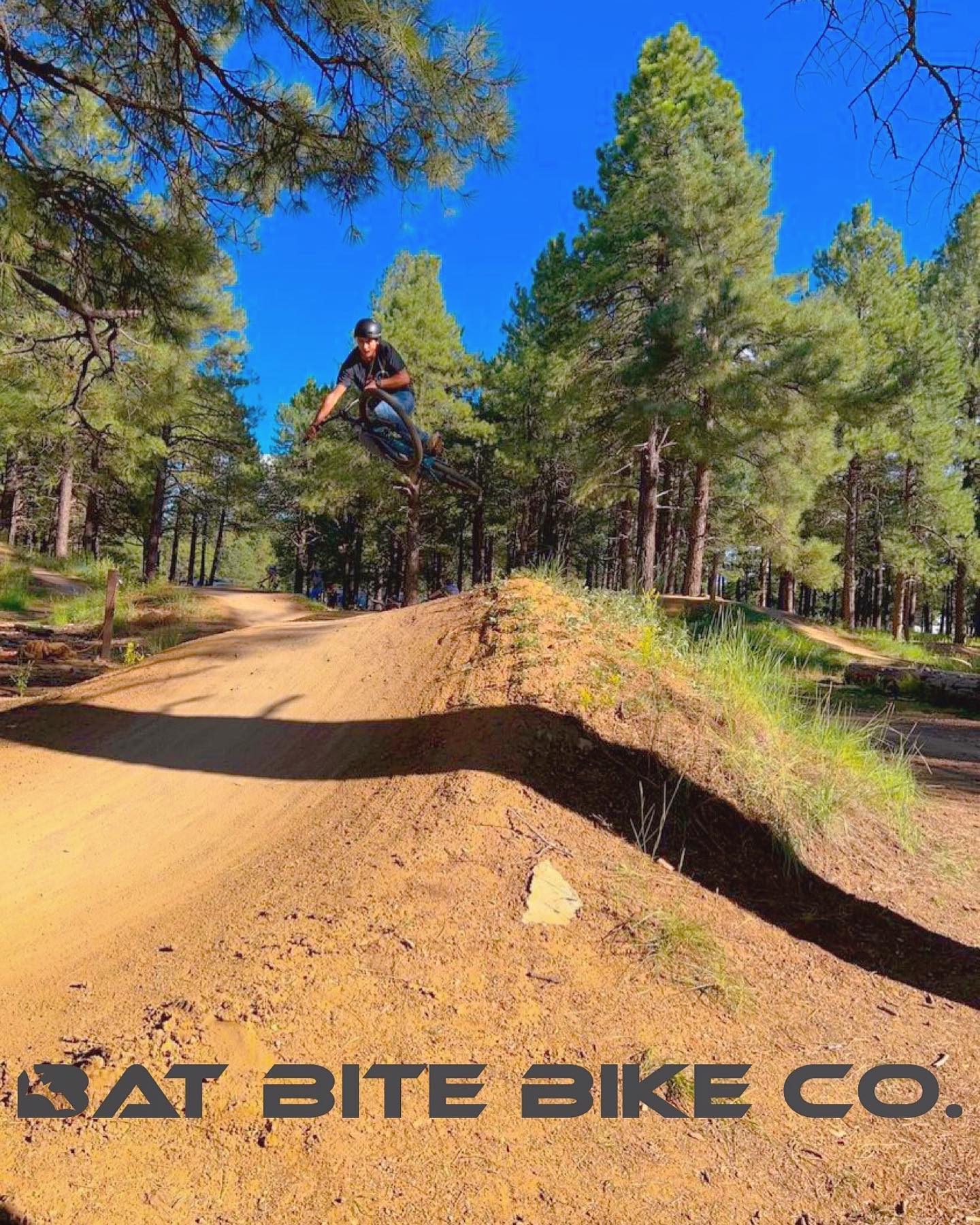 Bat Bike Bike Co.