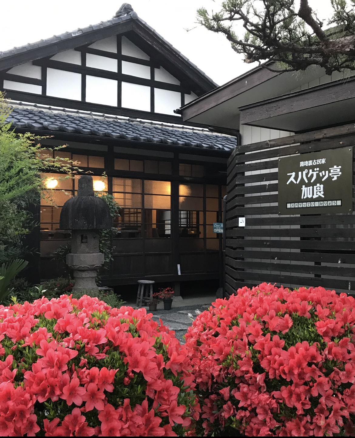 活動歴および当時の関連ビジュアル記録