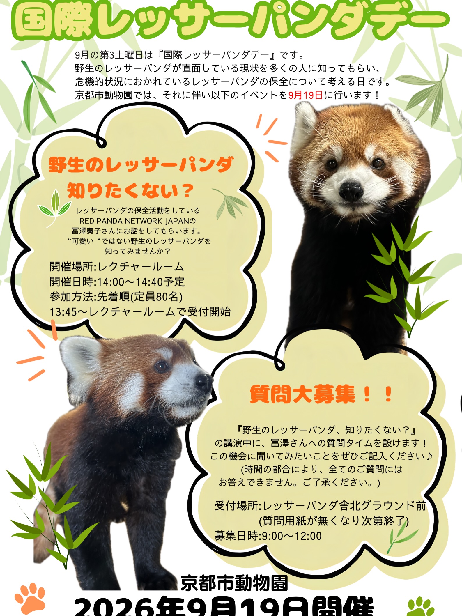 Red - Fun Fact Friday! What's in a name? Well, red pandas are