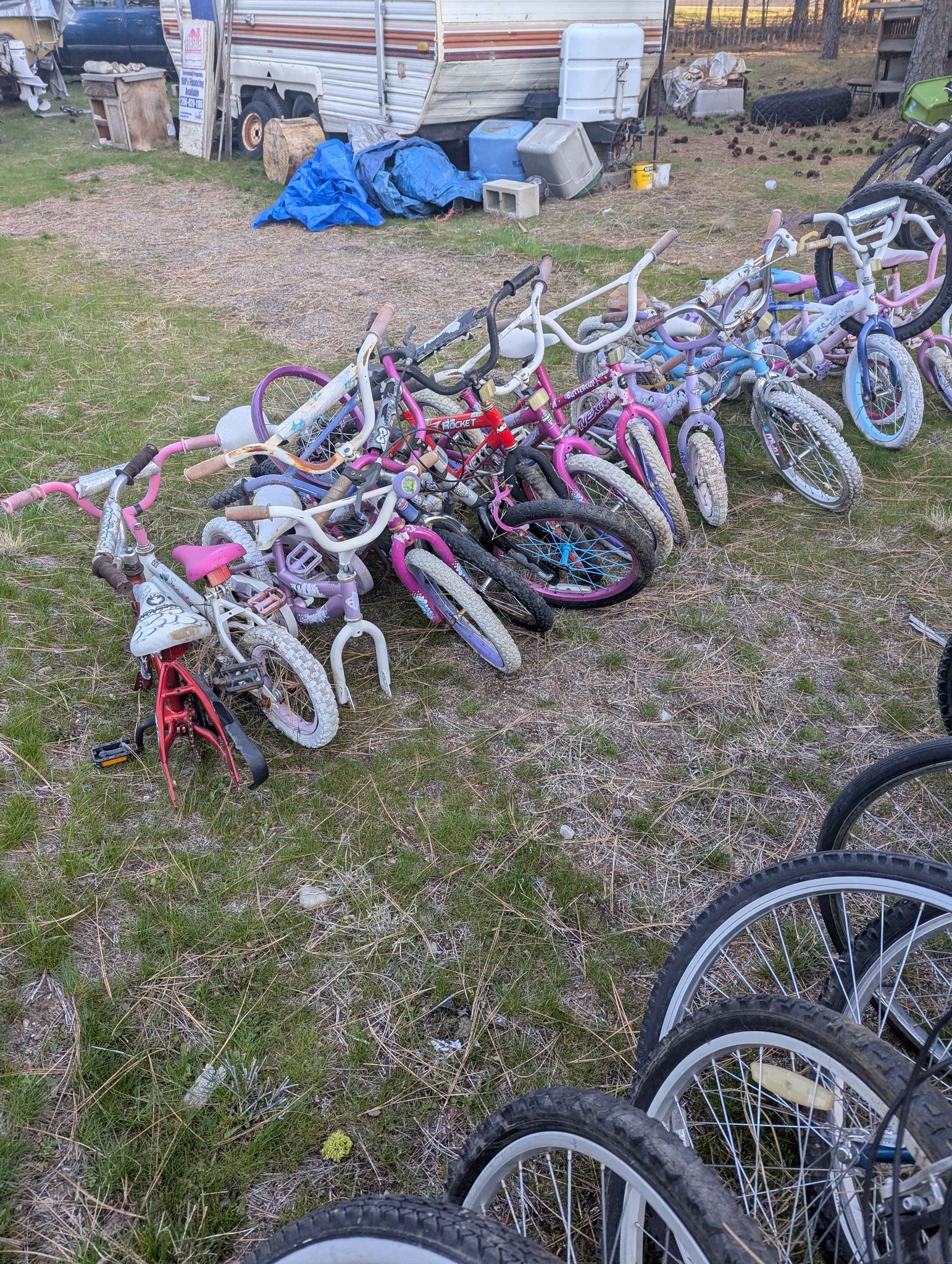 Bikes 🚲🚲🚲🚲 - Bicycles - Tumtum, Washington | Facebook Marketplace