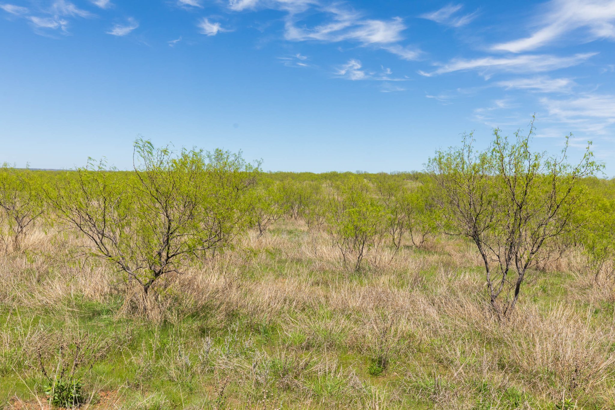 5.14 Acres of Rural Undeveloped Land - Hackberry Fields Tract 1 ...