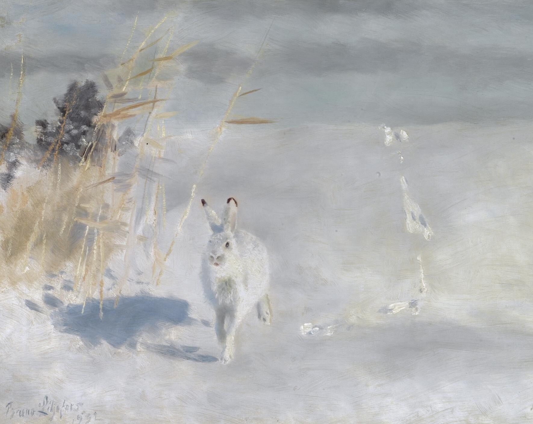 Gunnar Brusewitz (Swedish, 1924-2004) 